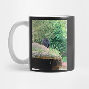 Bear Mug